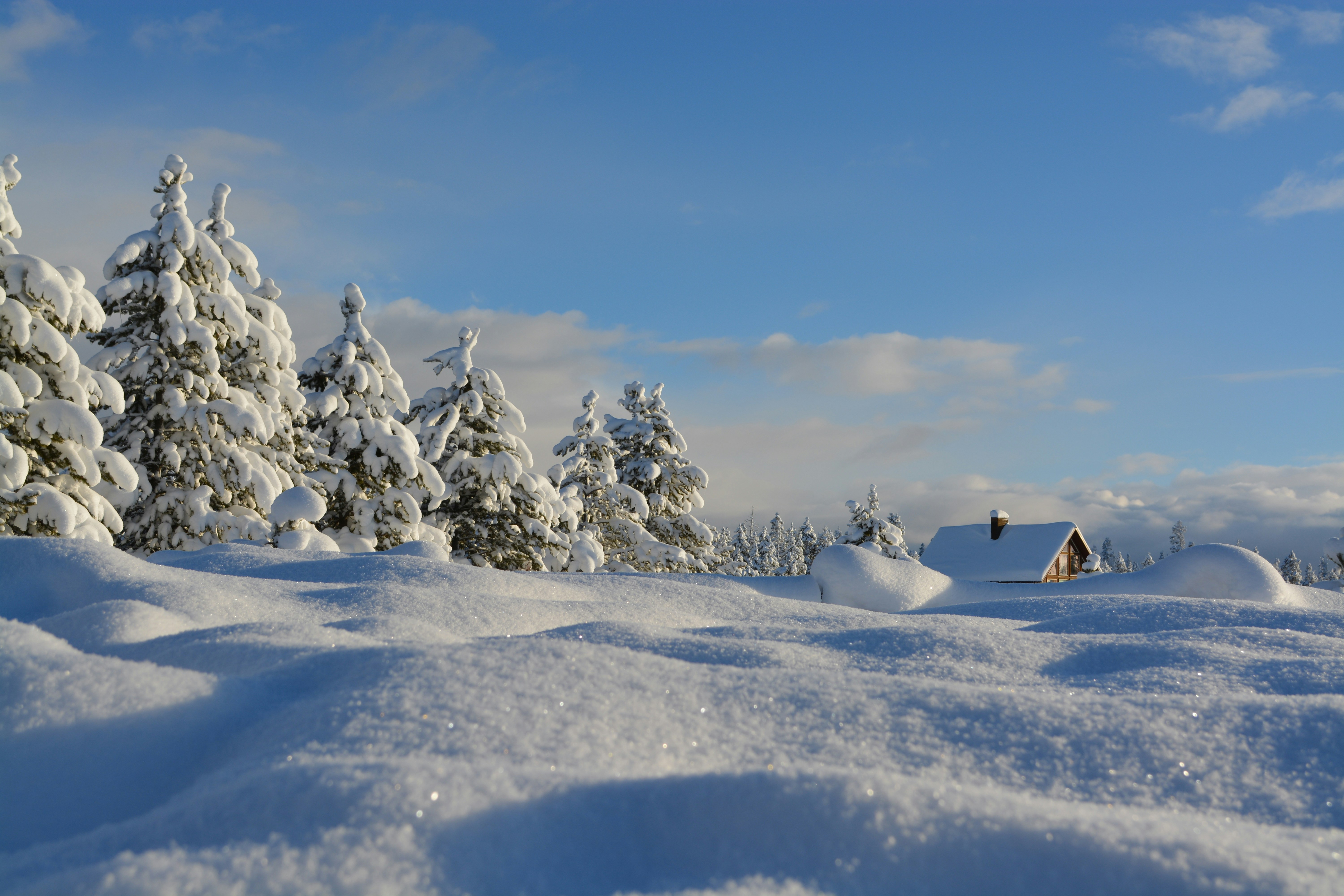 Winter in Leutasch – verschneite Hütte in Winterlandschaft